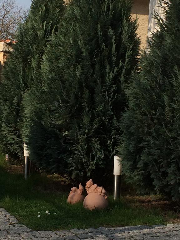 Penzion Speller Vysoký Újezd المظهر الخارجي الصورة